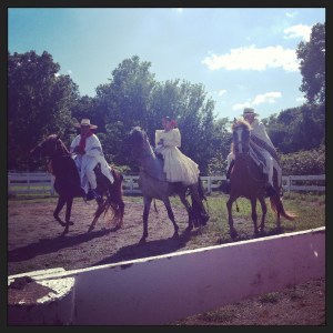 Show de Caballos de Paso